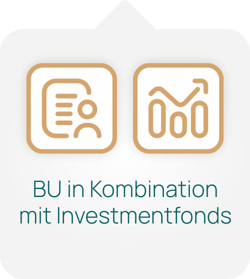 Bild auf doc-bu.de Icon BU Invest