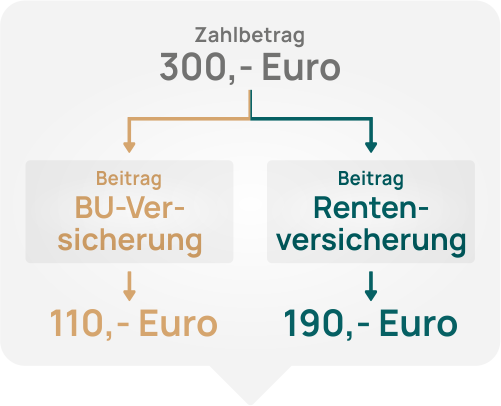 Bild auf doc-bu.de BU mit Rente 3